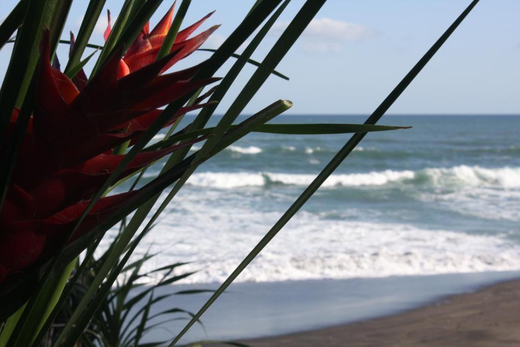 Sejuk Beach Villas Canggu  Phòng bức ảnh